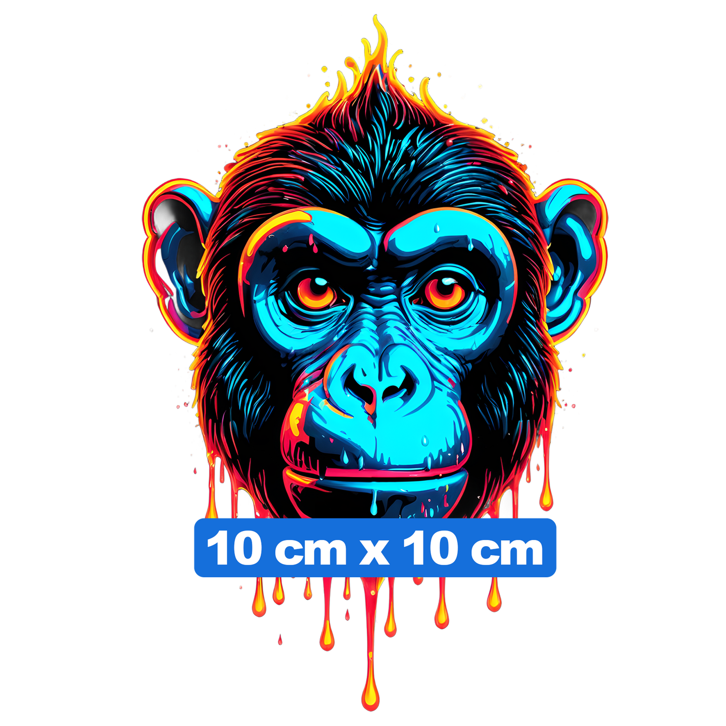 10 cm x 10 cm
